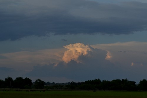 Clouds, Cumulus 3