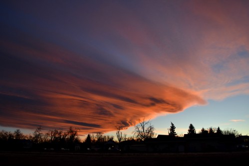 Orange & Pink Winter Sunset